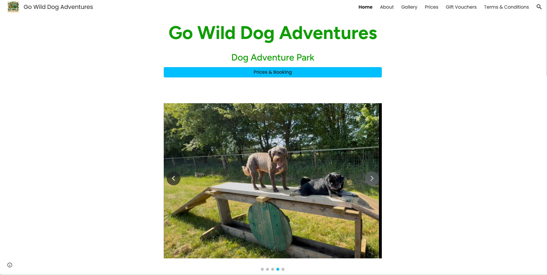 home page of go wild dog adventures